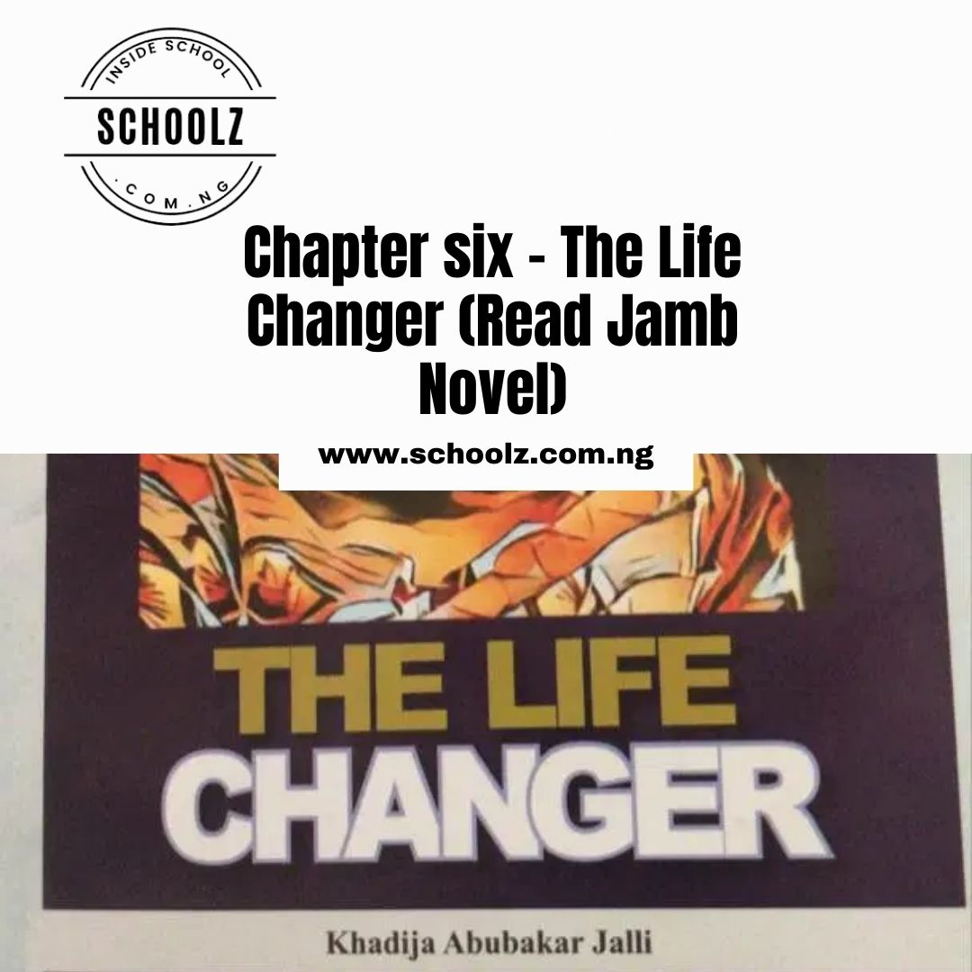 Chapter Six Of The Life Changer (Read Jamb Novel 2022)