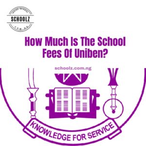 How Much Is The School Fees Of Uniben?